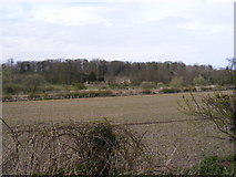 TM3669 : Remains of Sibton Abbey by Geographer