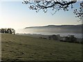 Field above the Teign estuary