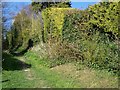 Bridleway, Gussage All Saints