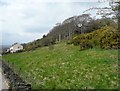 Hillside above Wakefield Road, Lepton