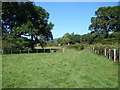 Pasture beside the A470