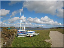 SW7036 : Sailing dinghies on the bank of Stithians Reservoir by Rod Allday