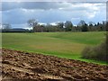 SU2963 : Farmland, Newtown, Shalbourne by Andrew Smith