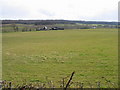 Looking S to Parsonage Farm from Denstroude Lane