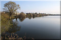 Church Pond, Attenborough