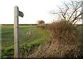 Public footpath along Elms Road