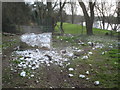 Polystyrene on the public footpath - 1