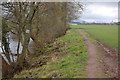 Riverside path on river Usk near Llancayo on a stormy day