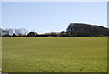 Orchard Hill Farm across a field