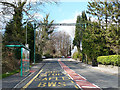 Bus stop and bat crossing, Oakdale Terrace, Penmaen