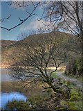 SH6149 : The Shore of Llyn Dinas, Beddgelert by Stephen Elwyn RODDICK