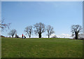 Golfers, Forest of Dean Golf Club