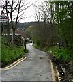 SE3316 : Slack Lane - Barnsley Road by Betty Longbottom