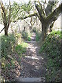 Steps leading down to the Allen Valley from Kenwyn cemetery