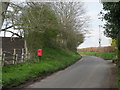 Lane through Bradney