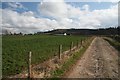 Farm track to Wester Foffarty