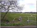 Ringsend Townland