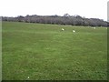 Glencurb Townland