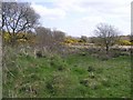 Belraugh Townland