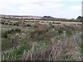 Pomeroy Townland