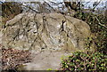 TQ5639 : Elephant Rock, Rusthall by N Chadwick
