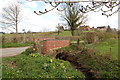 The Daffodil Way near Hill Brook Farm