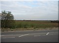 Farmland at the southern fringe of Cambridge.