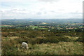 Clee Hill Common & the Teme Valley