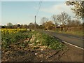 Part of Weald Bridge Road