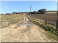 Farm road to Backwaird farm