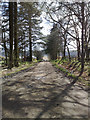 Farm road to Suttie Farm