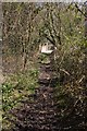 Overgrown path from Brickyard Road to The Firs house