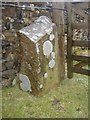 Boundary stone Worston moor