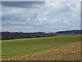 Farmland, Lane End