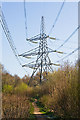 Pylon 4YC36 on Broom Hill, Eastleigh