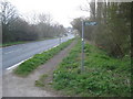 Daffodil Way sign at Shakesfield