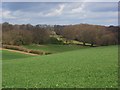 Farmland and woodland, Lane End