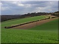 Farmland, Lane End