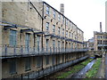 Rear of buildings on Hammerton Street