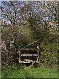 SY9180 : Stile on the footpath to Whiteway Farm by Jim Champion