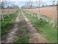 Farm track to the Kempley lane