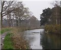 The Basingstoke Canal