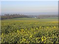 Farmland, Nuffield