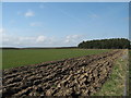 View south west from farm track