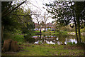 Pond, Lakeside, Enfield