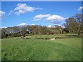 Poole and Wimborne Woodland Burial Ground