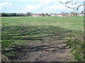 Playing field near Nunnery Wood - 1