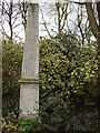 TQ2782 : Obelisk, St John's Wood Churchyard by Oxyman