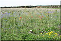 Field near Trevilley