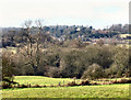 Coleorton Hall and park from Pitt Lane